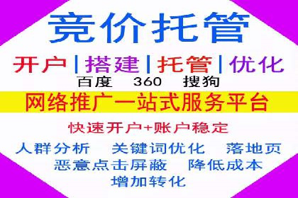 专业SEM托管服务成功案例分享